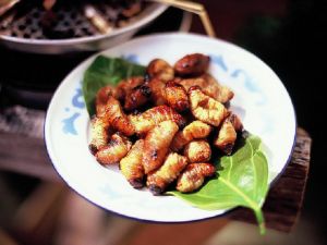 Đuông Chà Là Cà Mau