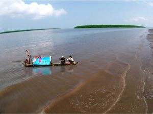 Cồn Ông Trang Cà Mau