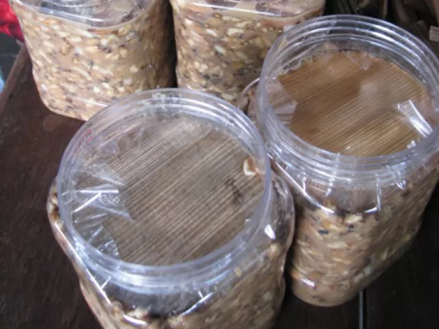 Mắm ong rừng