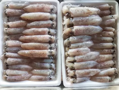 Mực trứng sữa ảnh 3