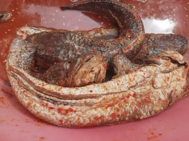 Mắm cá lóc