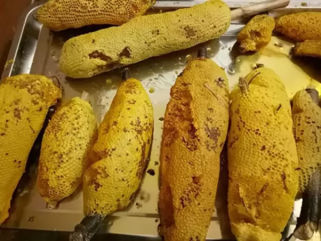 Mật ong rừng nguyên tổ