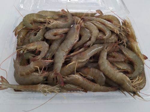 Tôm đất tự nhiên ảnh 2