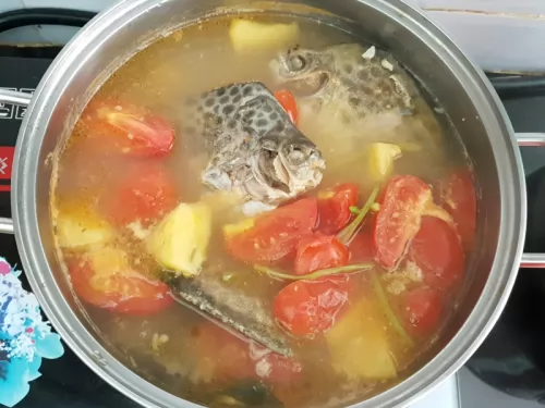 Cá Nâu Cà Mau ảnh 2
