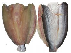 Khô cá dứa 1 nắng