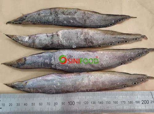 Khô cá chạch đồng ảnh 1