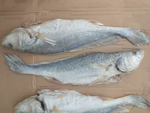 Khô cá sửu mặn ảnh 1