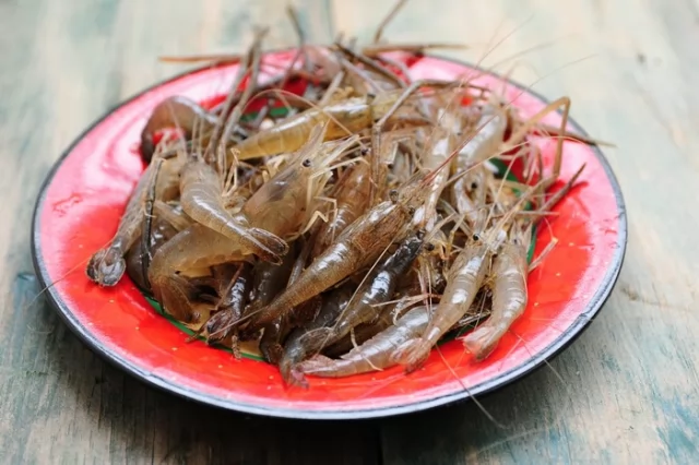 Nếu tôm còn tươi sống (còn bơi) thì bạn có thể bỏ qua bước ngâm nước phèn.