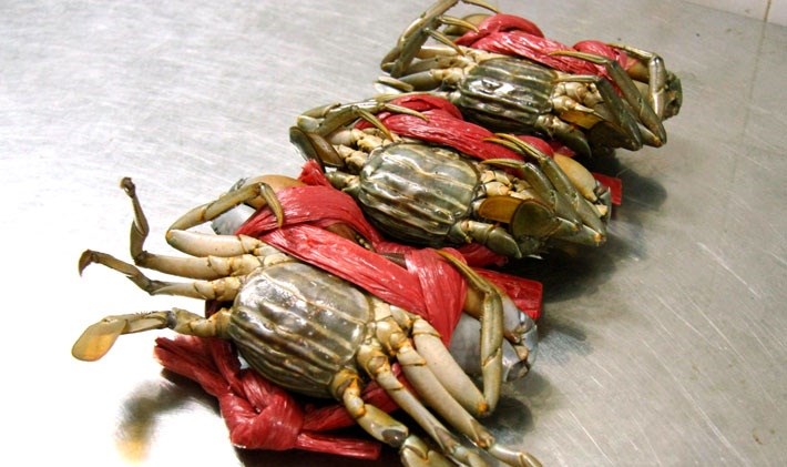 Mẹo chọn cua ngon