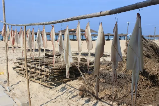 Khô mực loại to được phơi dưới nắng tốt