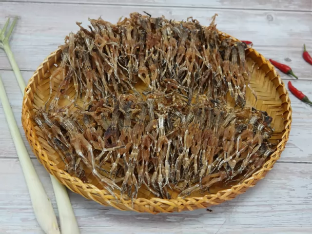 Khô nhái đồng nhỏ