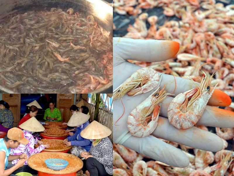 Quy trình chế biến tôm khô thủ công 